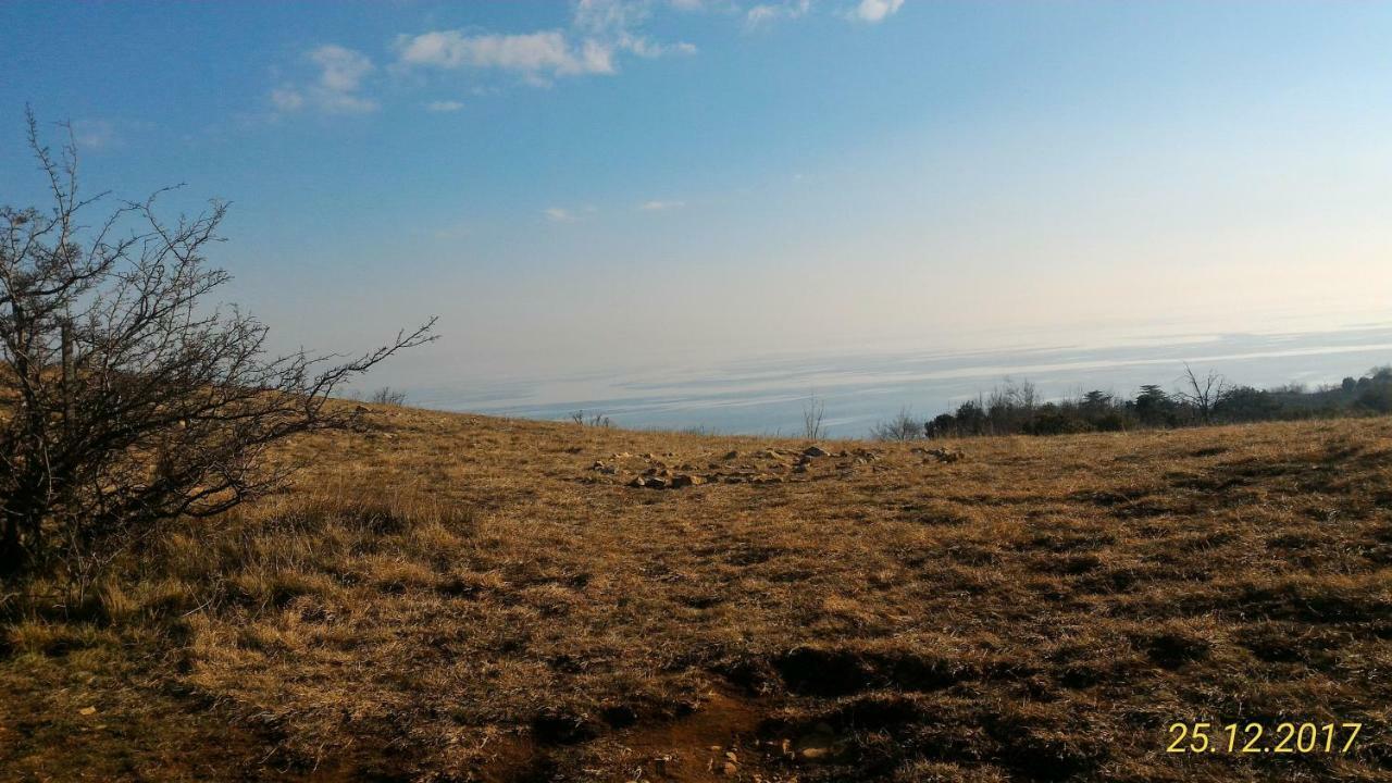 Agriturismo Holle Манерба-дель-Гарда Екстер'єр фото